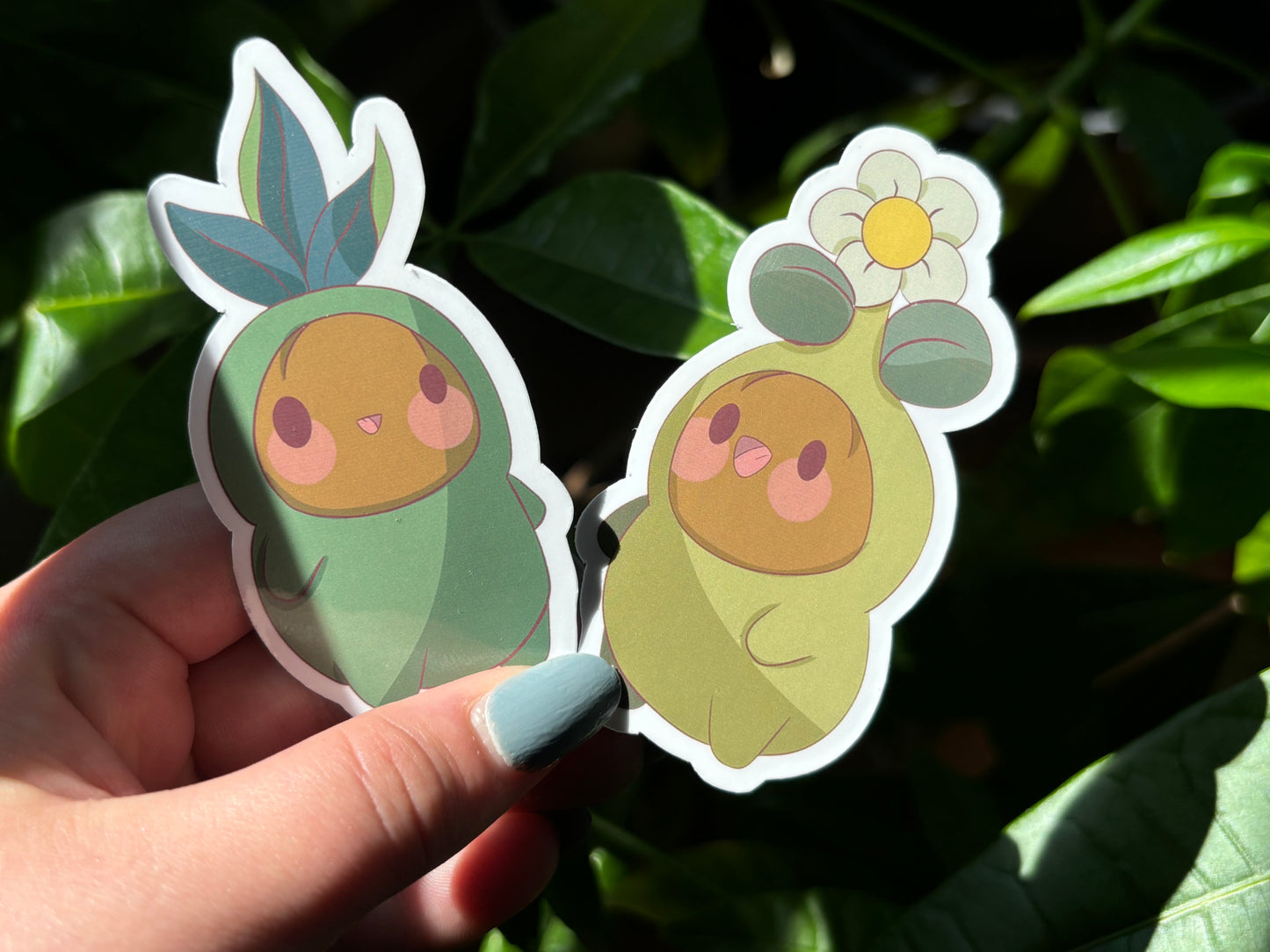 Sprout Gerald bundle