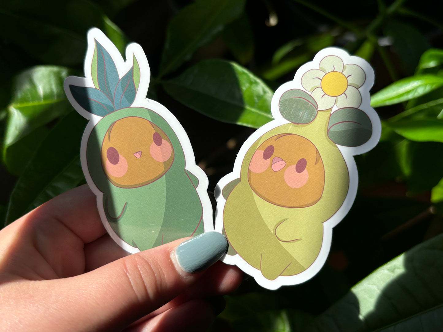 Sprout Gerald bundle