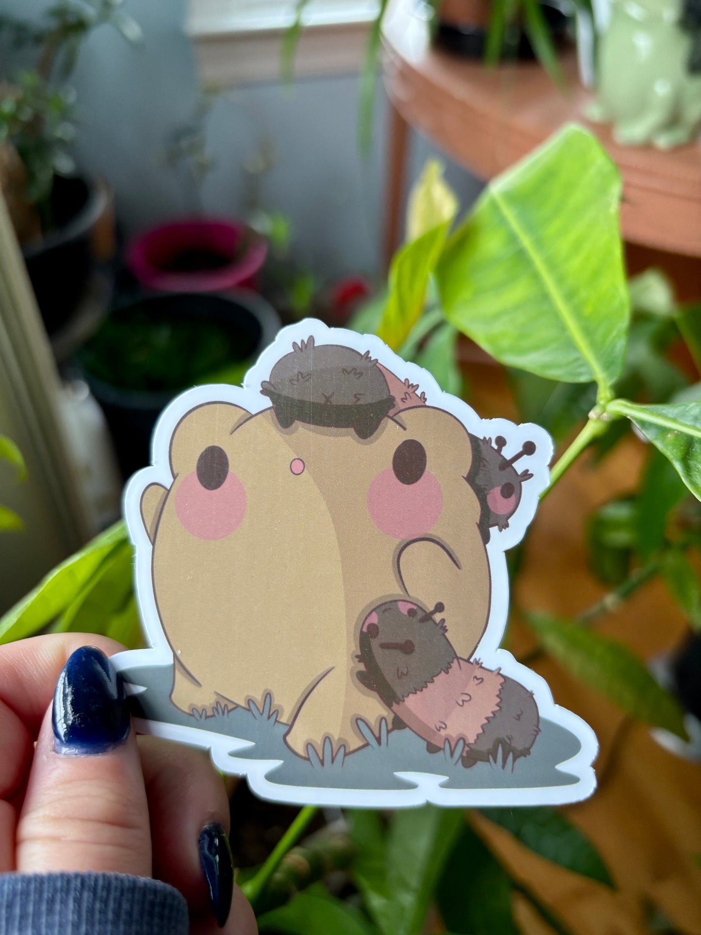 Gerald with Woolly Worm