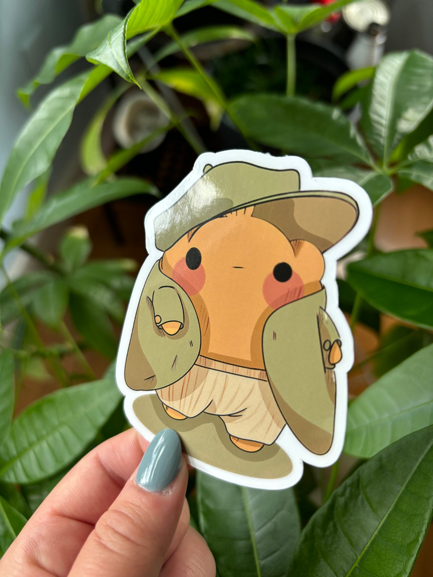 toad - from frog and toad