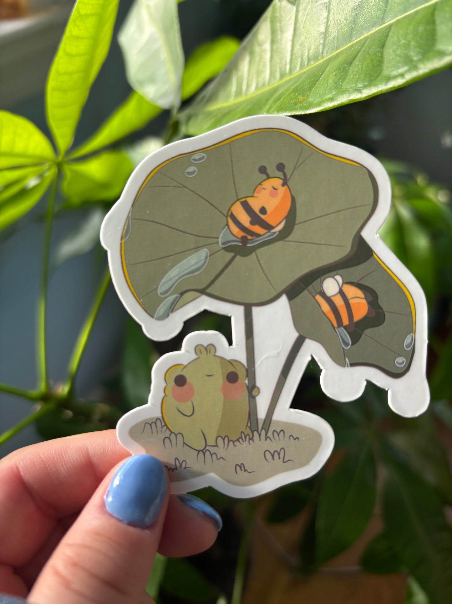 Gerald watching sleepy bees