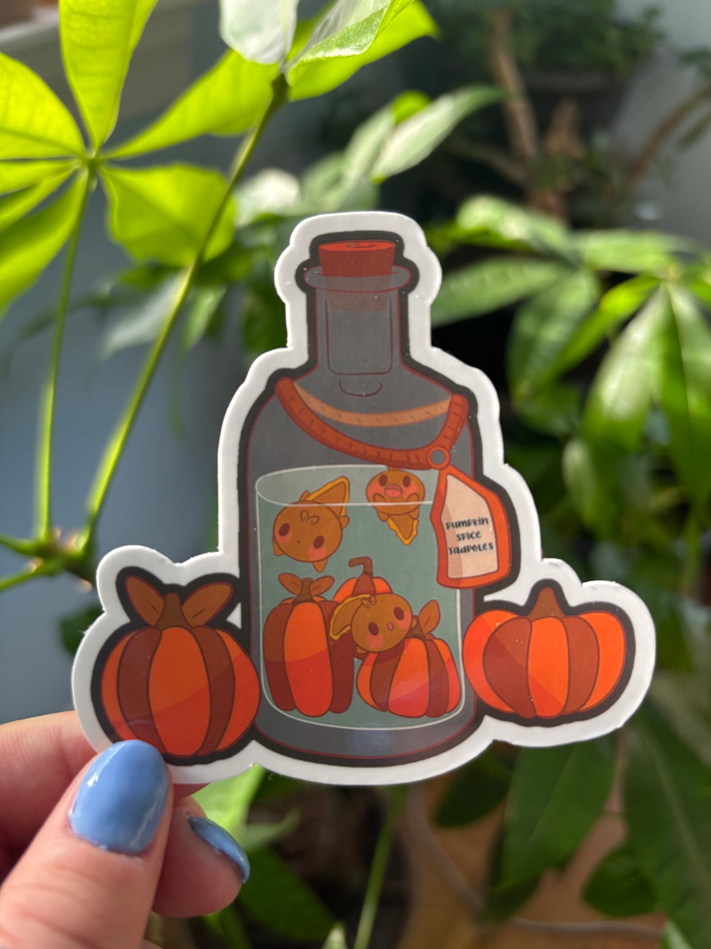 pumpkin spice tadpoles
