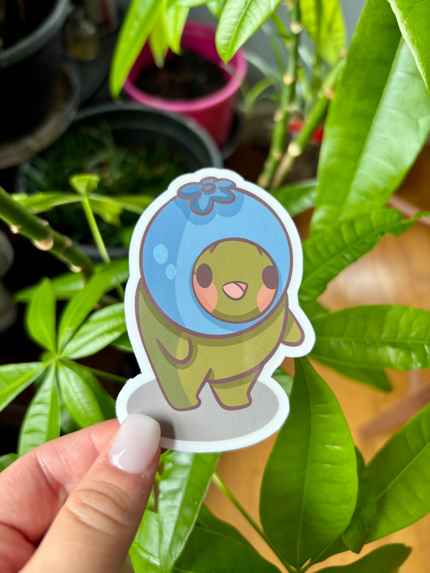 Blueberry Gerald