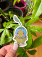Blueberry Gerald