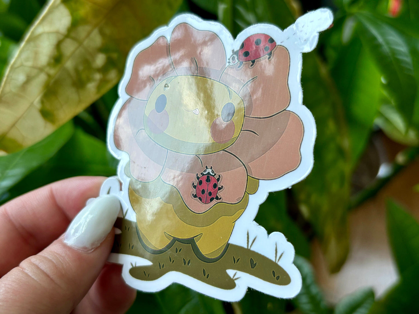 flower gerald with lady bugs