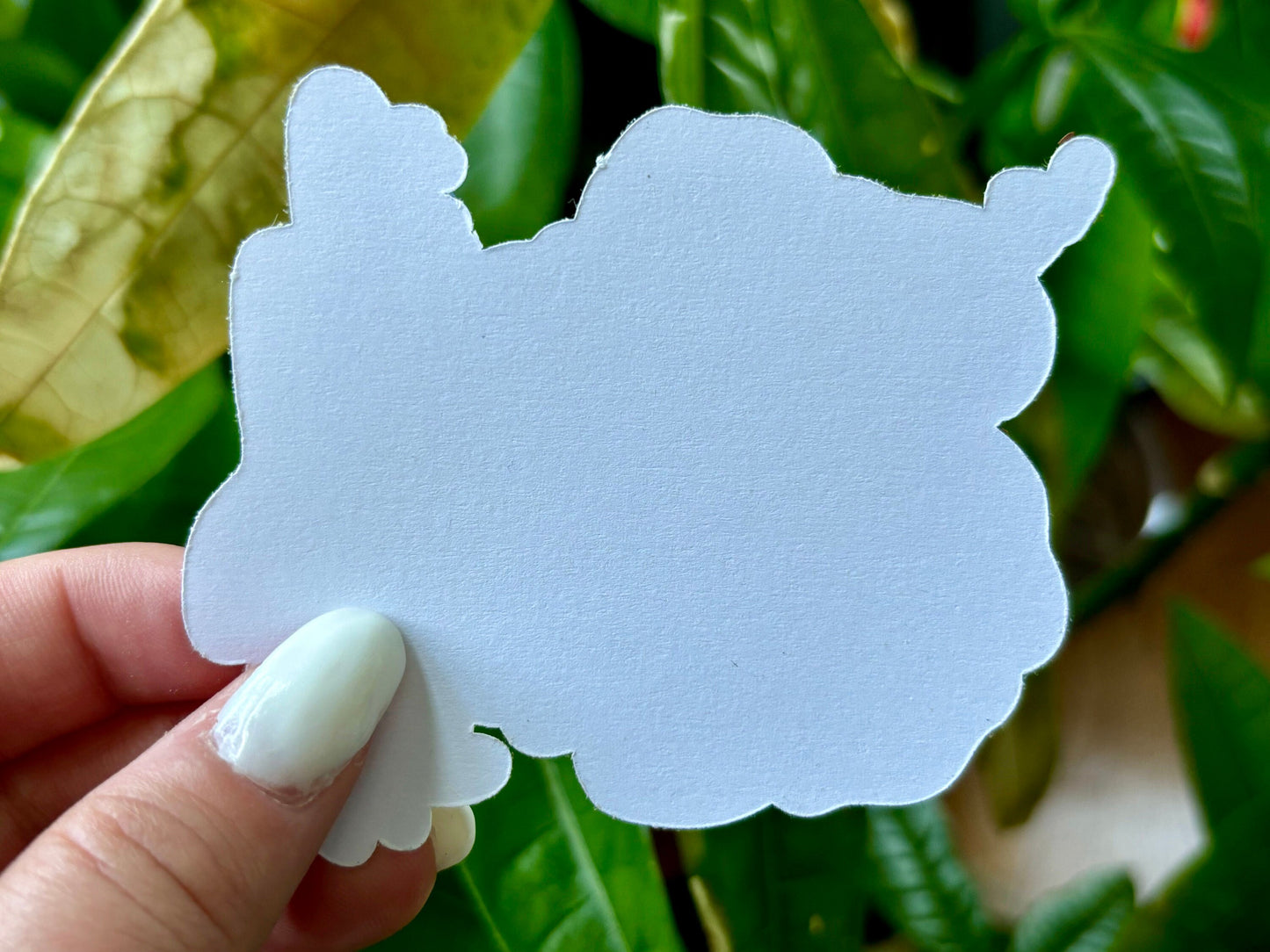 flower gerald with lady bugs