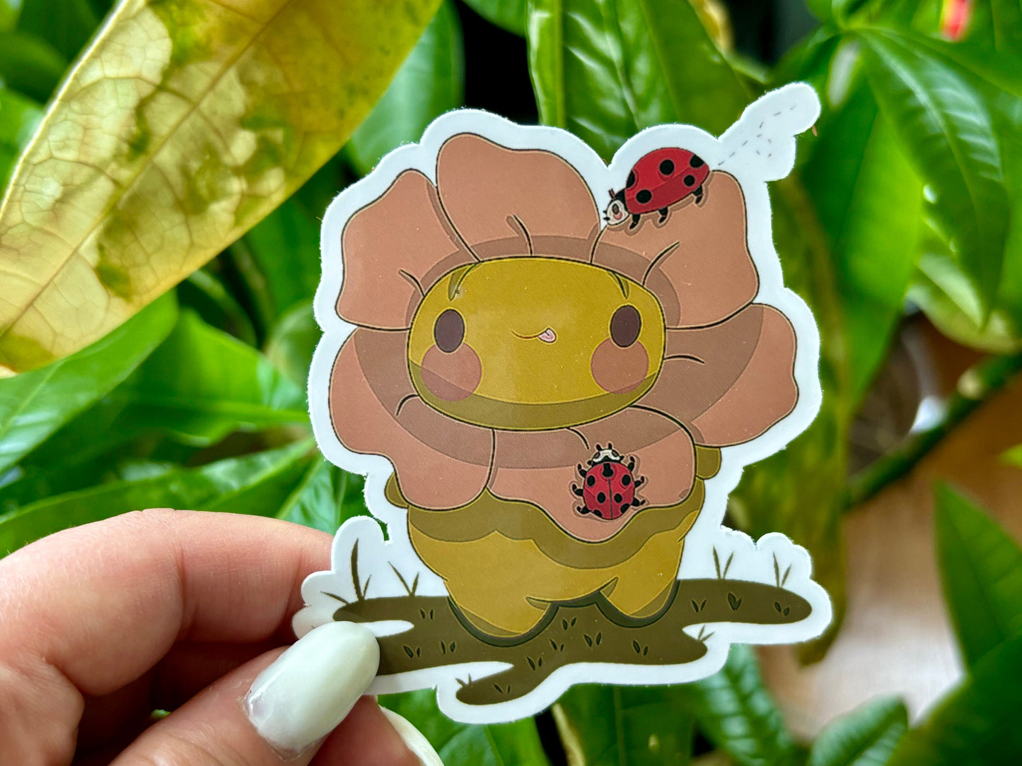 flower gerald with lady bugs