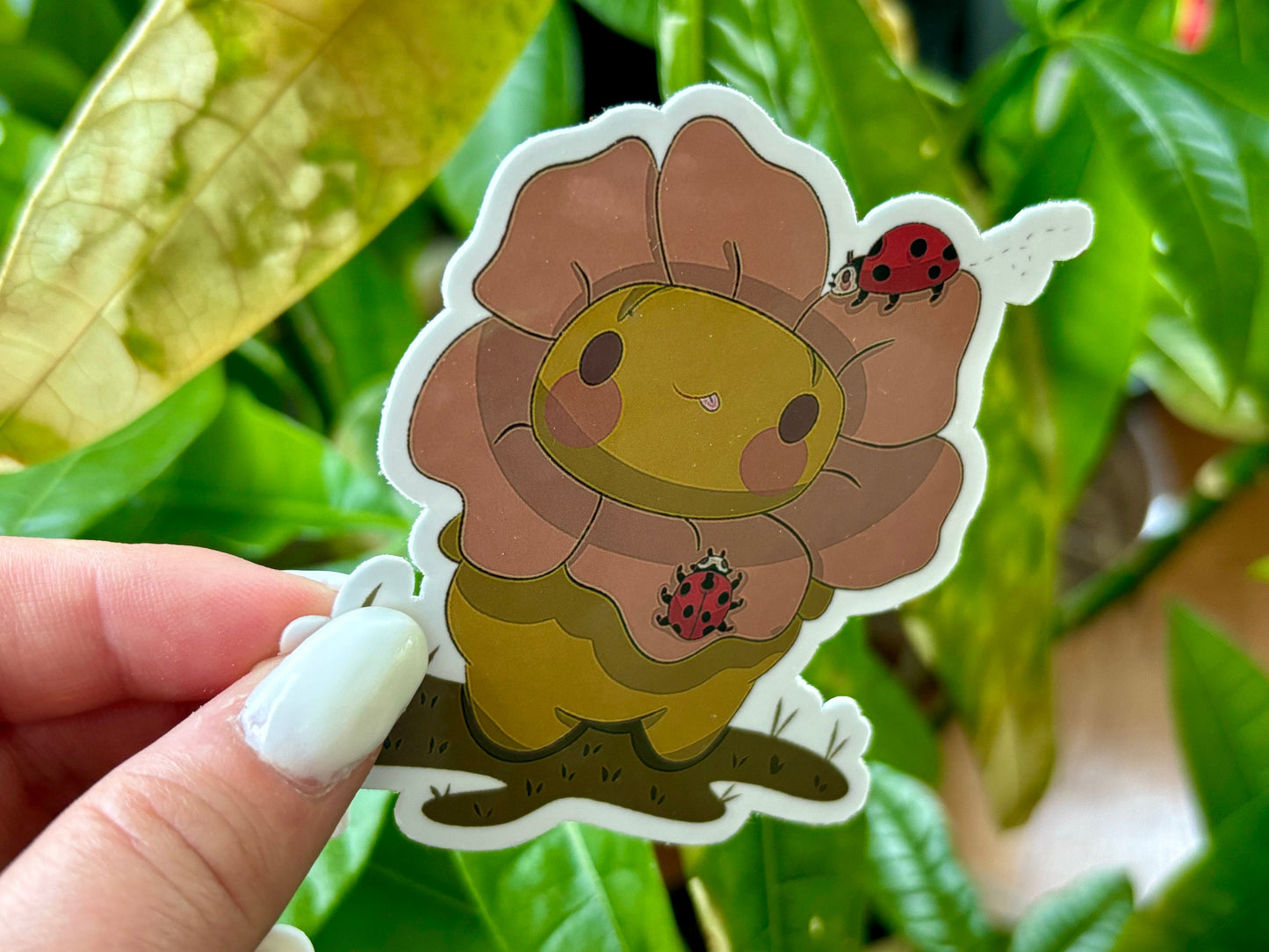 flower gerald with lady bugs