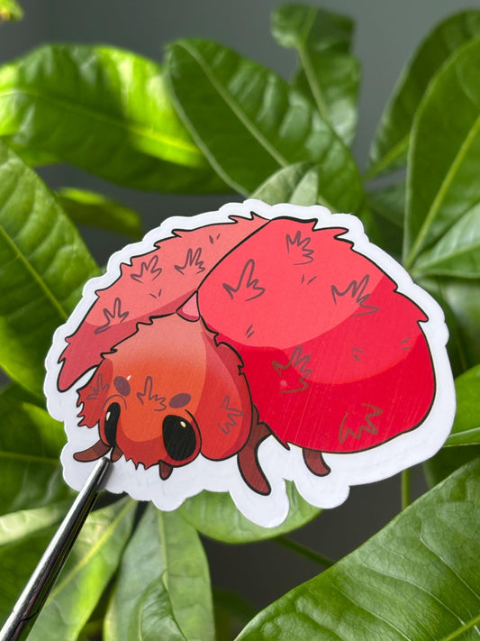 Red Fuzzy Ladybug Sticker – Kawaii Waterproof Vinyl Decal