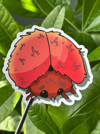 Fuzzy Peach Ladybug Sticker – Kawaii Vinyl Bug Decal